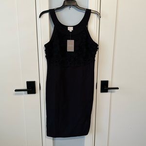 NWT Beautiful Anthropologie Black Dress